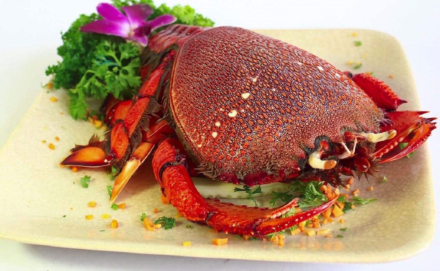 Ẩm thực Quy Nhơn ngon bổ không ăn nuối tiếc cả đời Ẩm thực Quy Nhơn ngon bổ không ăn nuối tiếc cả đời | am thuc quy nhon 1